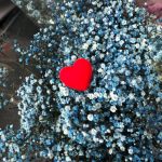 DCard SG Privilege Discount Card